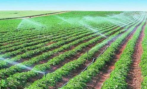 日嫩逼视频农田高 效节水灌溉